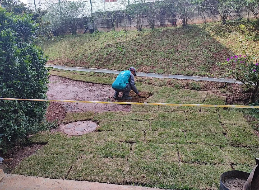Fornecimento e instalação de grama e canaleta drenante